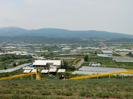 CIMG3278