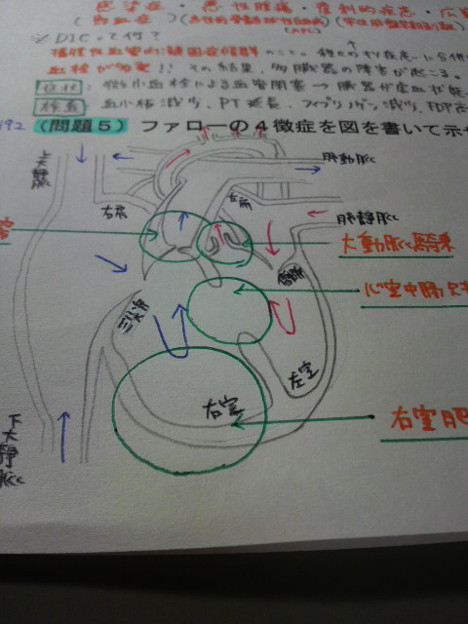 私 心臓の絵ちょー上達した 写真共有サイト フォト蔵