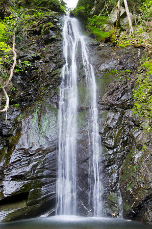 一心滝　2012.5.7-2