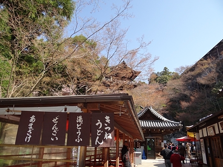 DSC04203_R