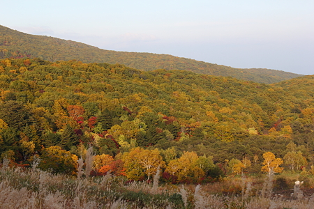 岩手県八幡平の紅葉・4