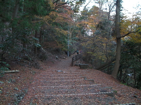 帰り道かな
