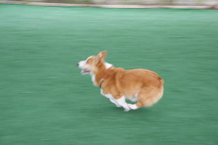 DSC05185