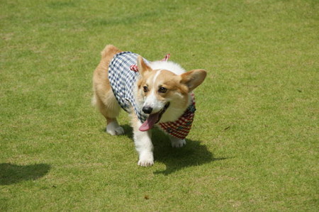 DSC06001