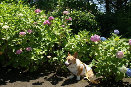 DSC06114