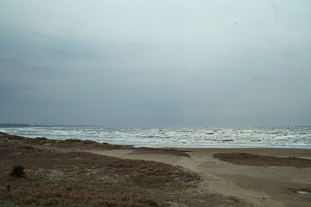 Sea03112012dp2