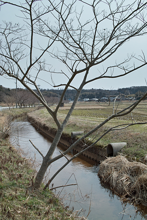Creek03112012dp2-02