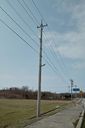 Electric_pole03112012dp1