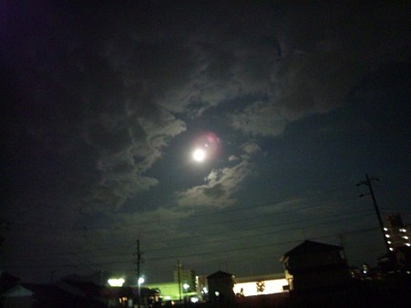 SH3K0098