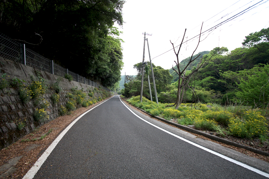 淡路島　サイクリング
