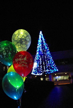 IMGP3695_1213