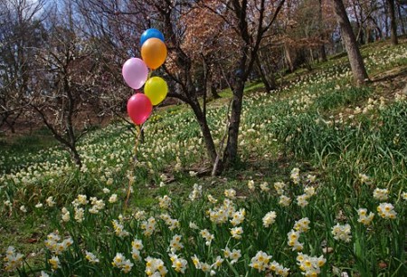 IMGP8933_0325