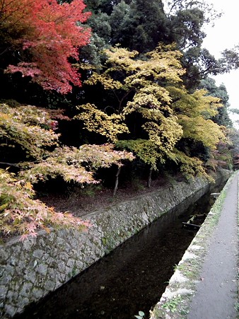 京都 663