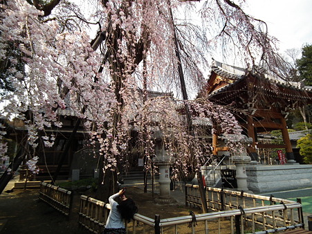33明見院