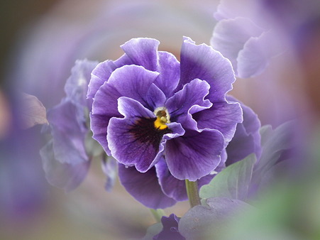 DSCF0165