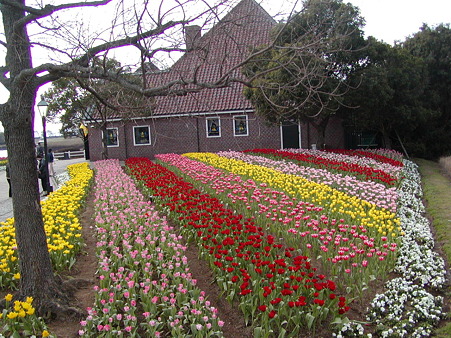 P3100096