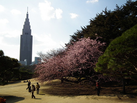 DSCF0469