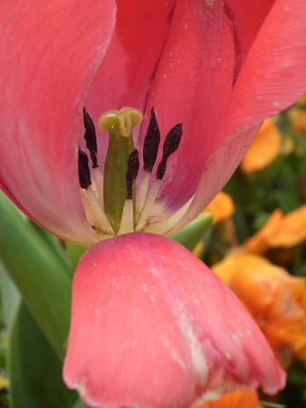 DSCF0044
