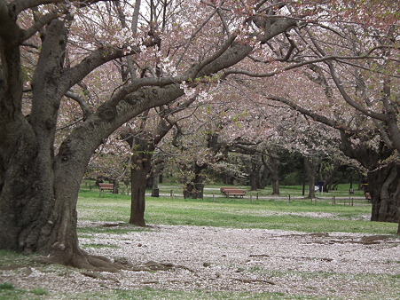DSCF0629
