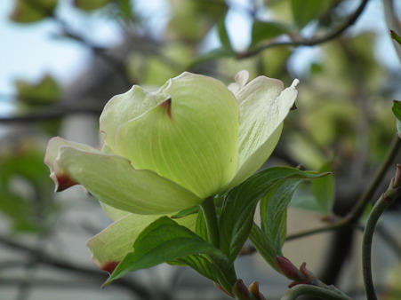 DSCF0133