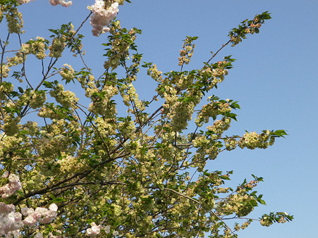 IMGP0018