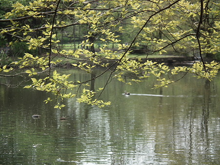 DSCF0099