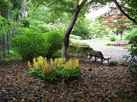 DSCF0191