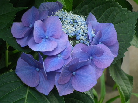 DSCF0360
