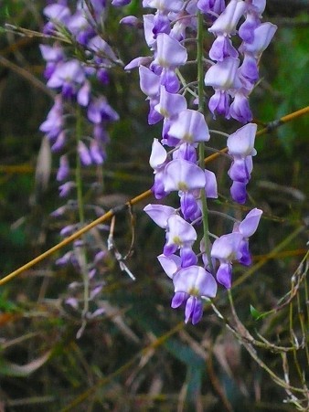 P1160980