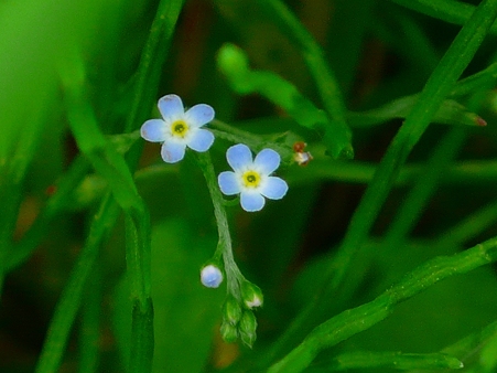 P1160926