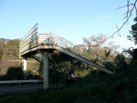 日本平パークウェイの歩道橋