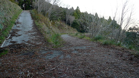 金丸山広場へ下る道