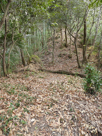 城池南側の林の中