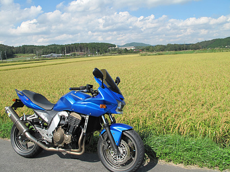 黄金とZ 黄金とZ