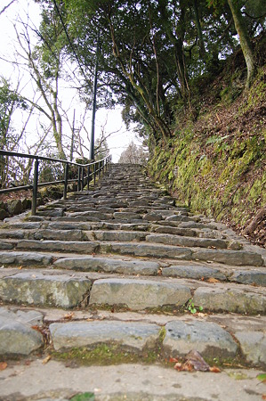 2012年01月08日_DSC_0017神護寺参道