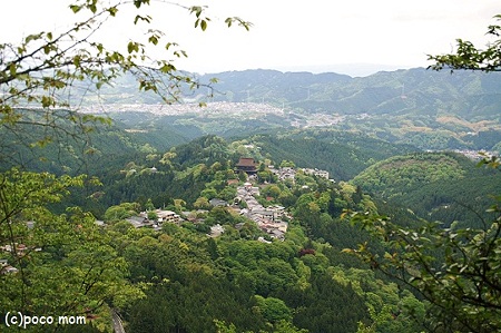 金峯山寺