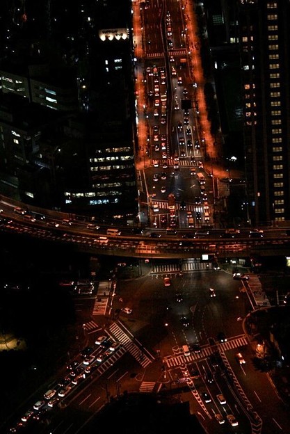 東京タワーからの夜景_6073