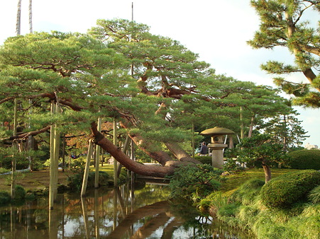 DSC00304