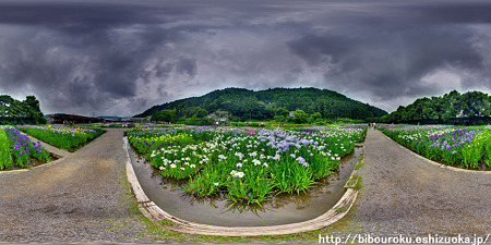 加茂菖蒲園 パノラマ写真　(4)露出合成　360°×180°