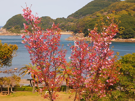 2012 春