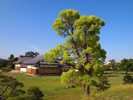 佐賀