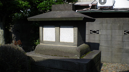 IMGP5478
