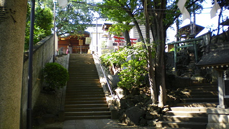 IMGP5531