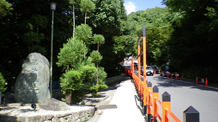 IMGP5646