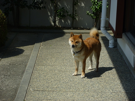 P1010820