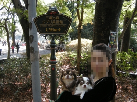 DSCN1183
