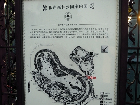 DSCN4841