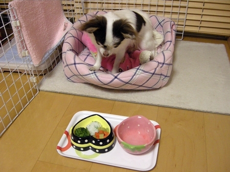 DSCN1936