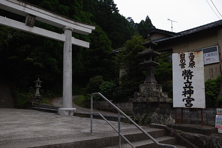 RIMG0784