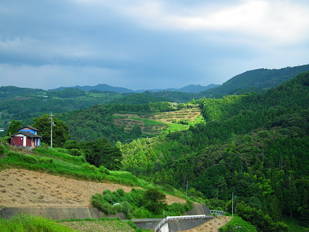 DSCF5501